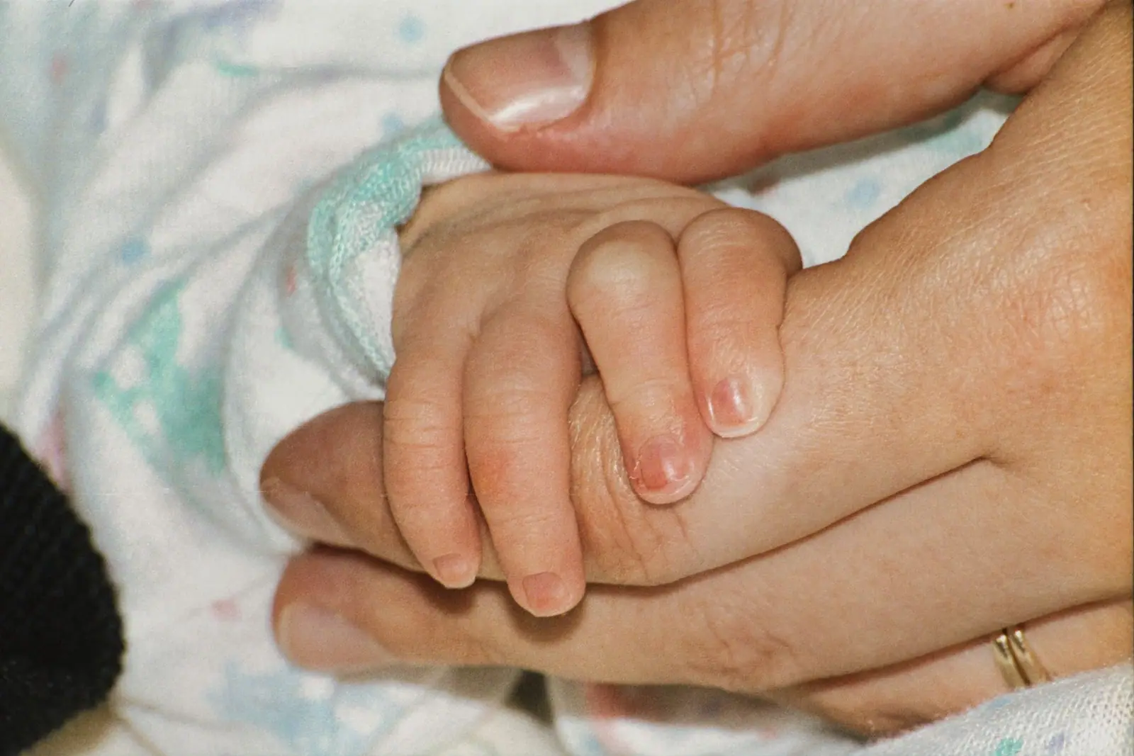 An adult's hands holding a newborn baby's hand